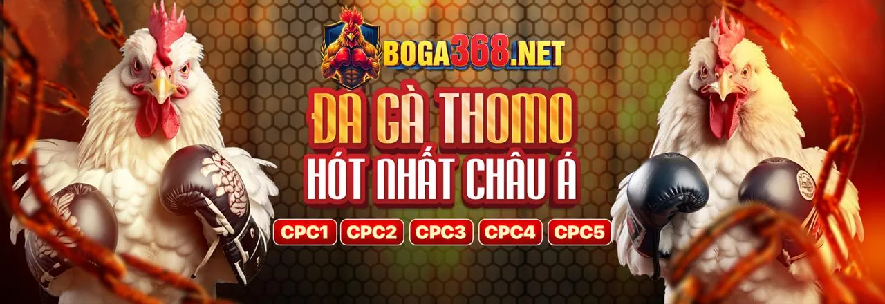 Giao diện các tính năng ứng dụng Bet188